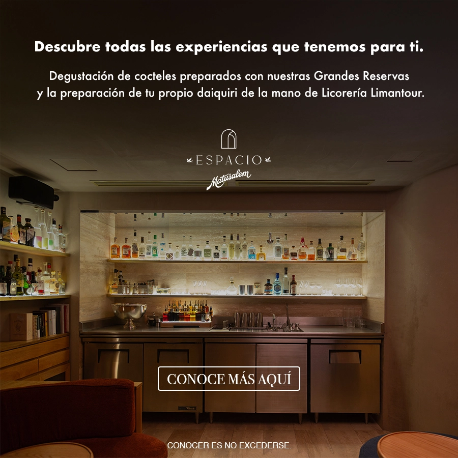 Banner Home Espacio Matus Mobile 1