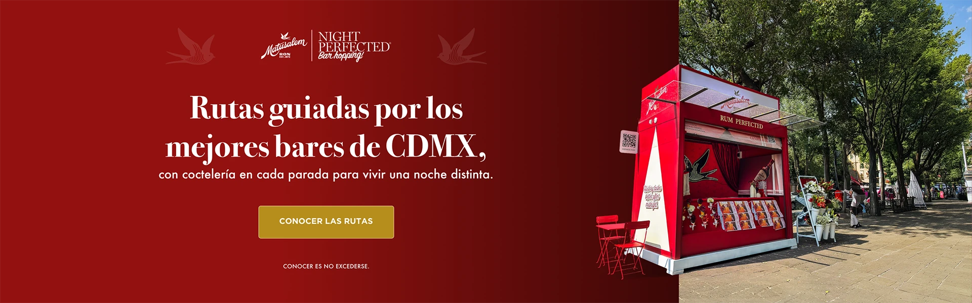 Rutas mejores bares CDMX- Bar Hopping