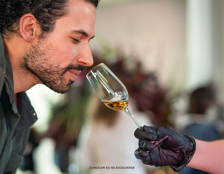 Elementos esenciales para tu cata de ron Matusalem